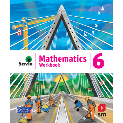 SAVIA MATHEMATICS 6 WORKBOOK